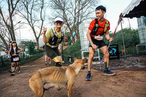 BIB: 
                            <button type="button" onclick="openModal(25457876)" class="btn btn-primary btn-sm float-right btn-popup" data-toggle="modal" data-target=".modal-high-quality">
                        <i class="fas fa-shopping-cart"></i> Add to Cart
                    </button>
                                            <button type="button" onclick="isThisMe(25457876, true)" class="btn btn-success btn-sm float-right btn-popup btn-isme hidden" data-toggle="tooltip" data-placement="bottom" title="นี่คือรูปของคุณใช่ไหม คลิกที่นี่เพื่อเอาเข้าอัลบั้ม">
                        <i class="fas fa-plus"></i> Add to album
                    </button>
                    <button type="button" onclick="isThisMe(25457876, false)" class="btn btn-warning btn-sm float-right btn-popup btn-isnotme hidden">
                        <i class="fas fa-ban"></i> Remove from album
                    </button>